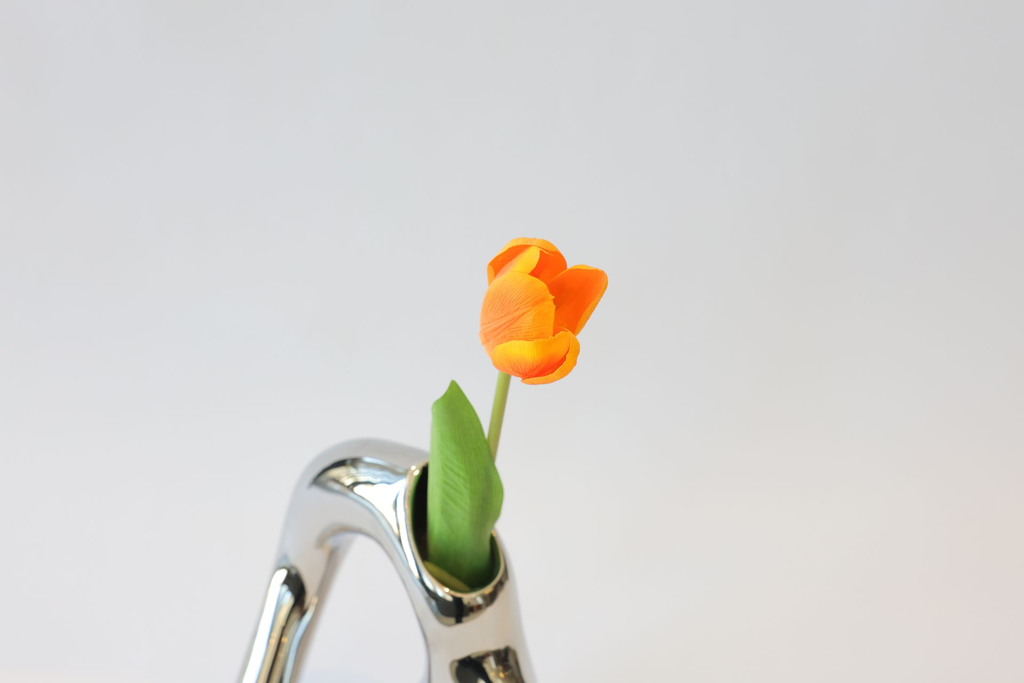 237A9224.webp